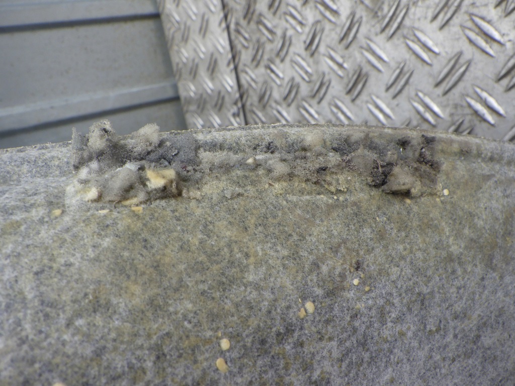 фото №9, Bmw f39 x2 потолок czarna m-pakiet