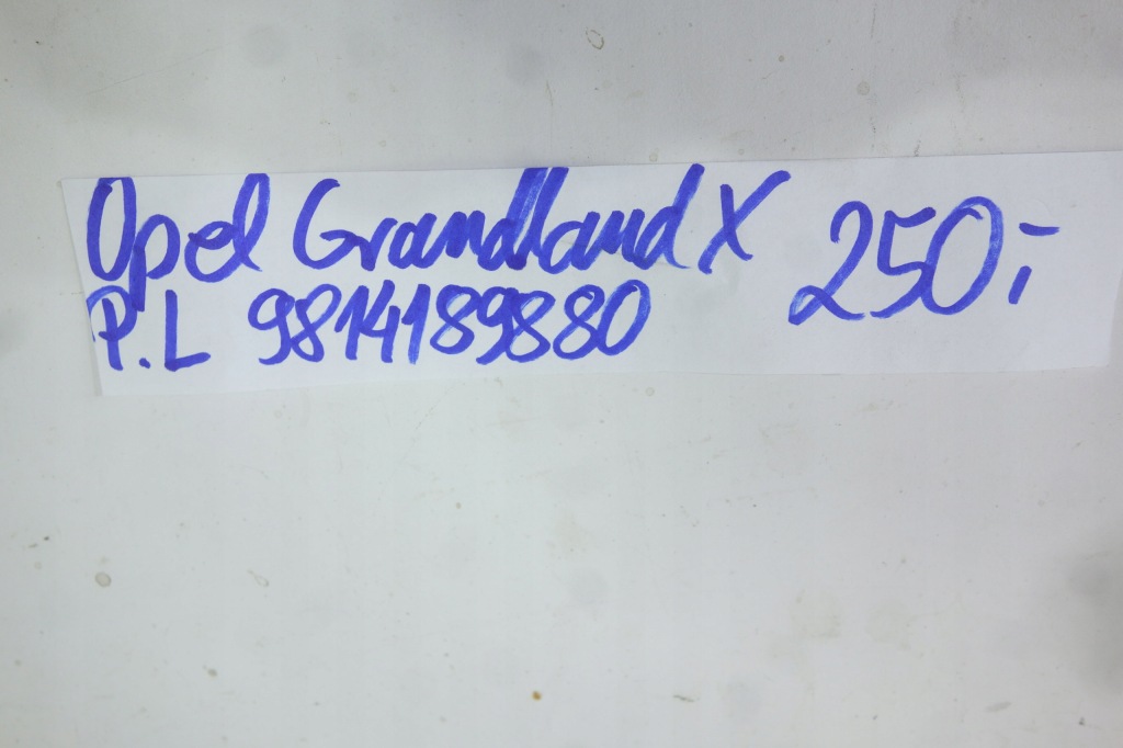 фото №4, Петля капот левый opel grandland x 9814189880