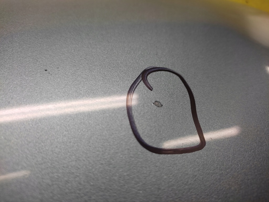 фото №4, Mazda premacy капот крышка двигателя лак 24b