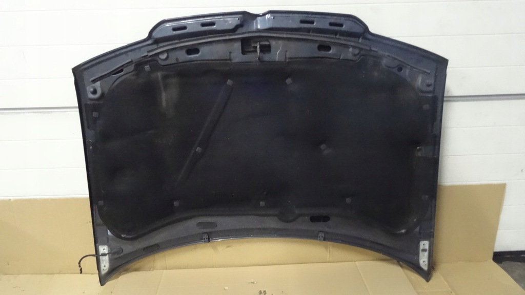 фото №9, Bora капот