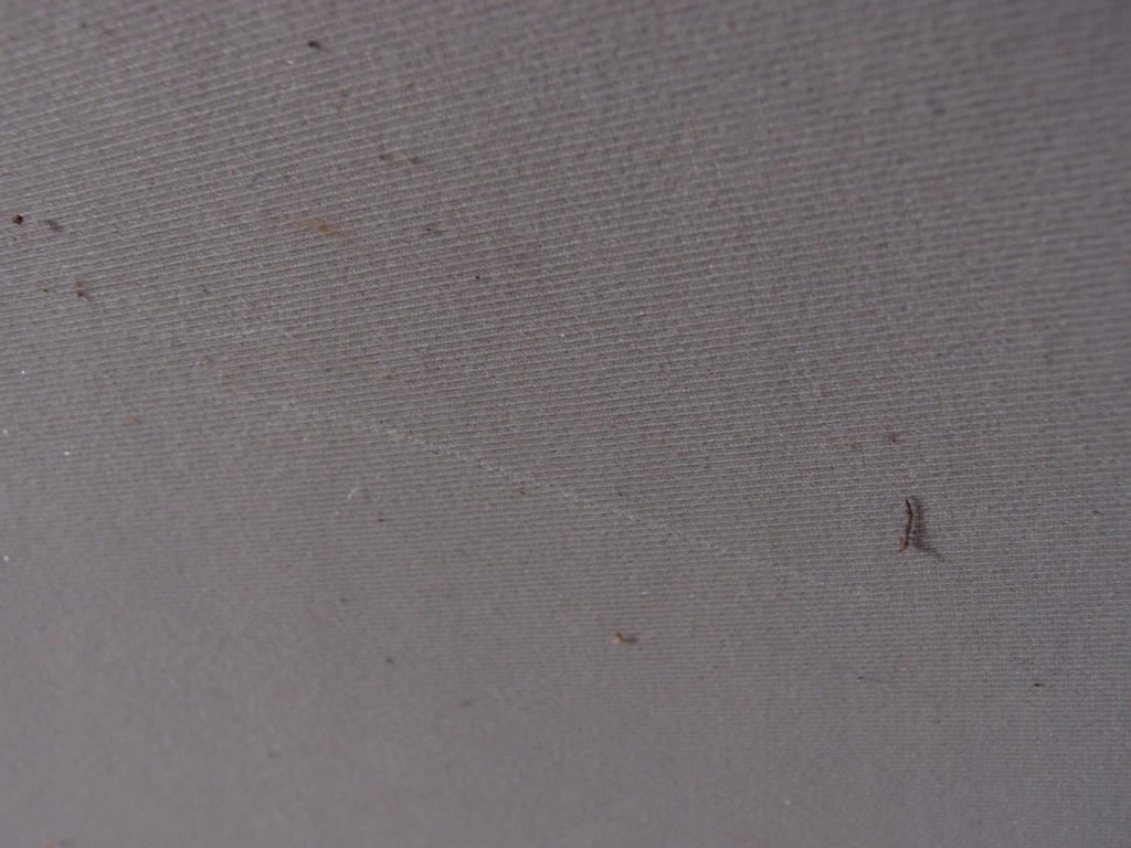 фото №7, Люк панорама крыша qashqai i +2