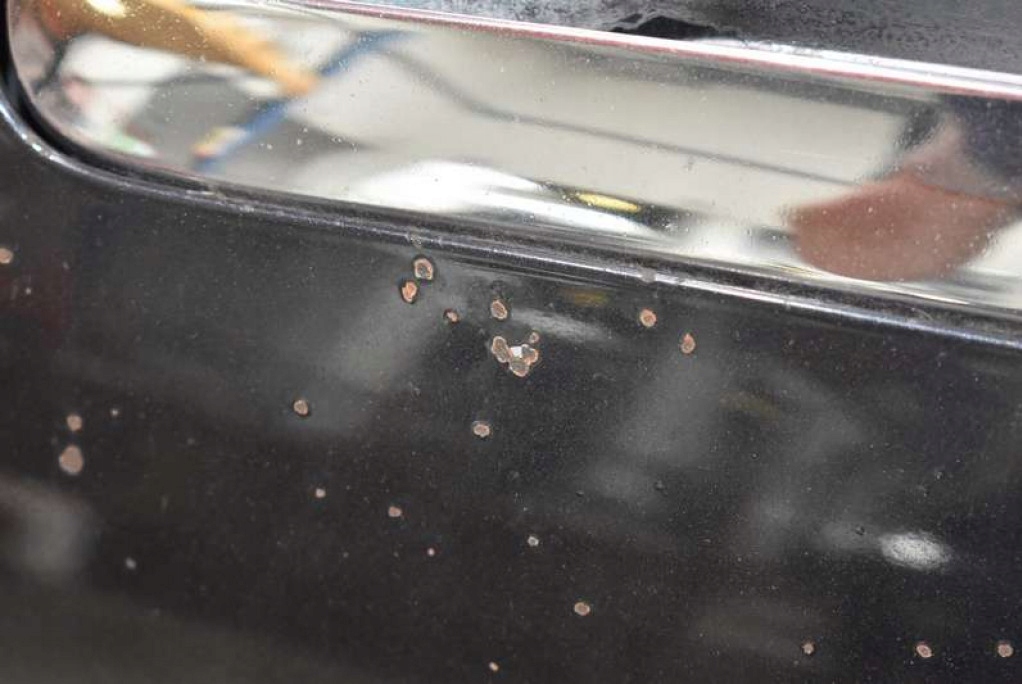 фото №5, Капот крышка двигателя 1e2 toyota avensis verso 01-03