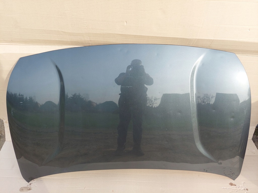 фото №1, Kia niro i 2016-2022 капот перед ""grad""