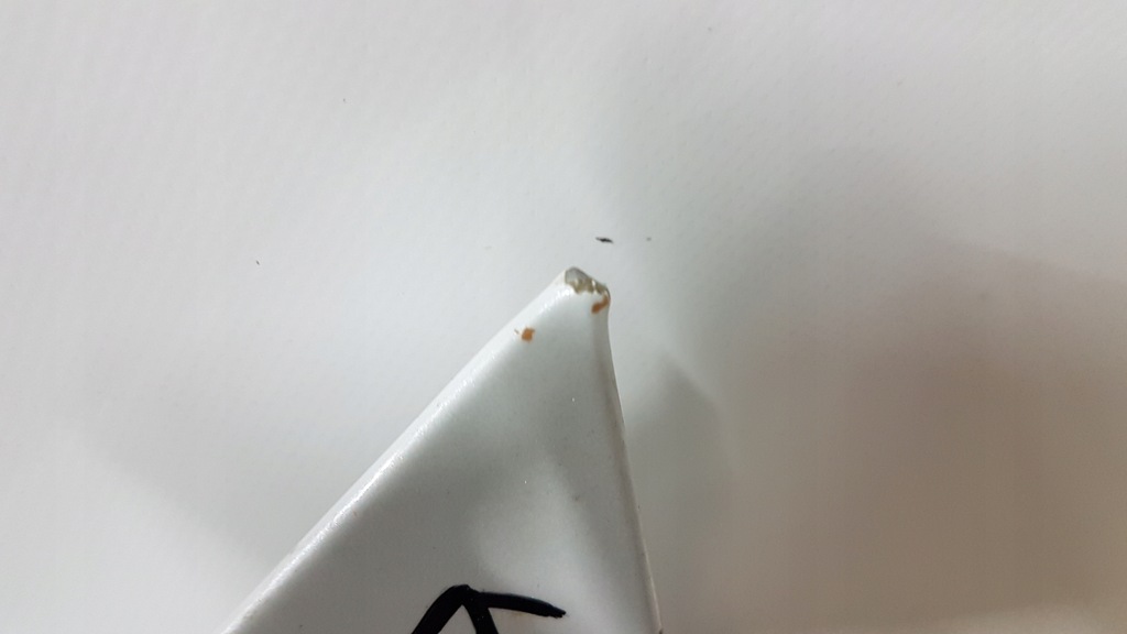 фото №11, Капот tesla 3 lift 23-