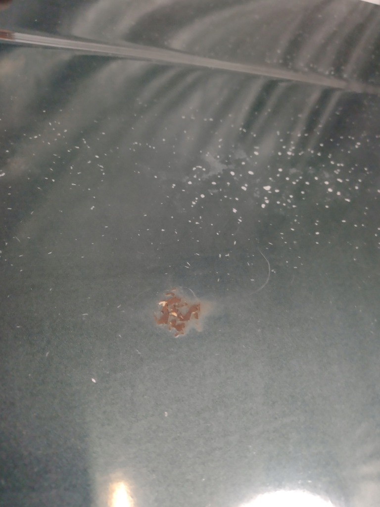 фото №4, Капот кришка двигуна jeep grand cherokee wj