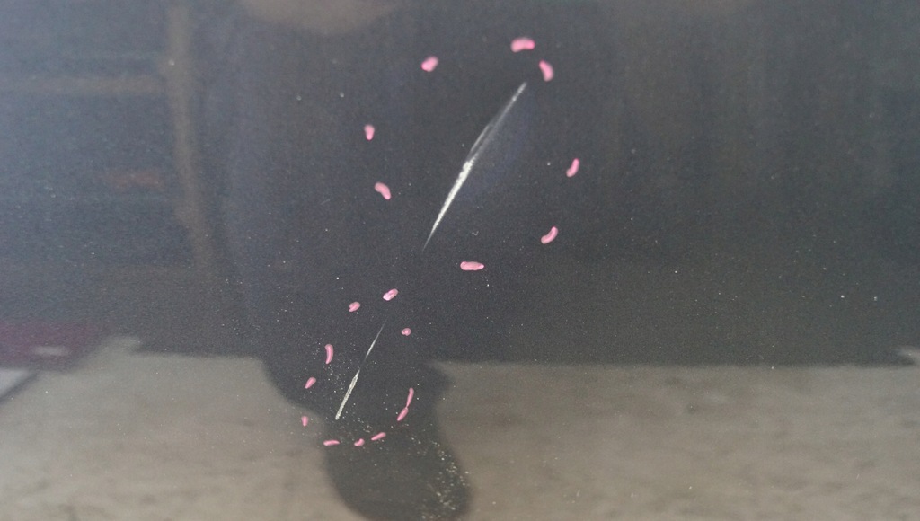 фото №10, Двері правий перед skoda superb ii