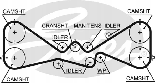фото №11, Комплект - набор ремень распределительного вала [gates]