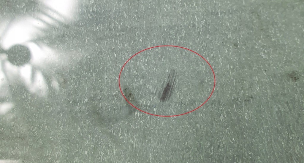 фото №10, Скло права перед infiniti qx70 ii fx35 fx50 fx qx