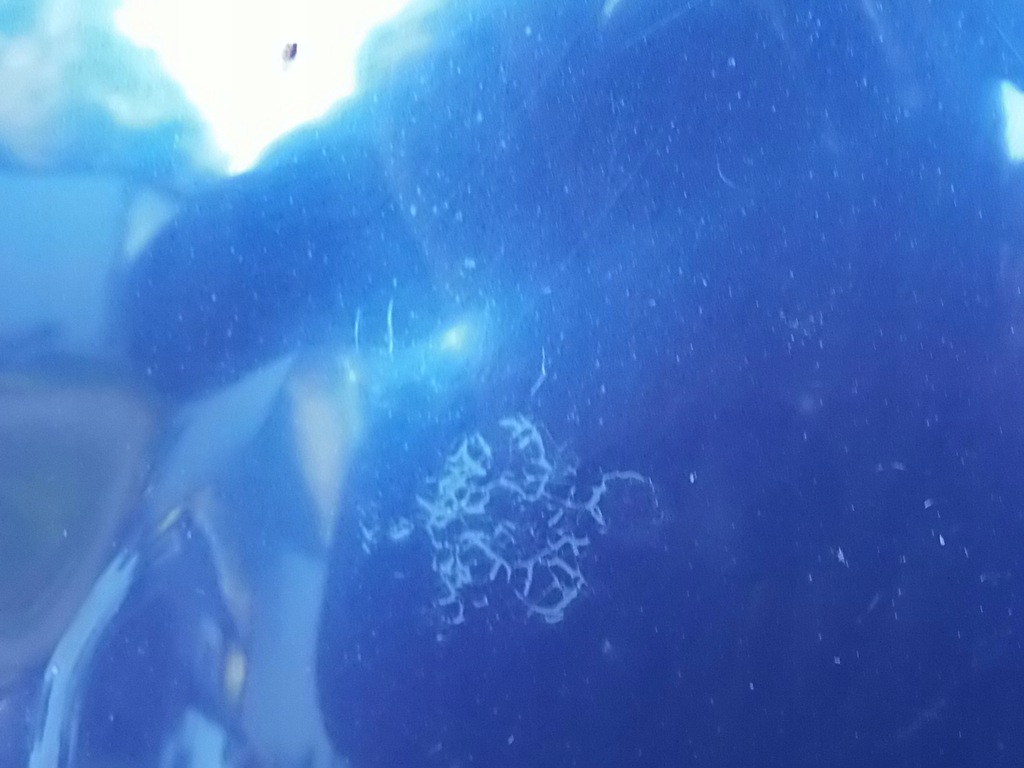 фото №11, Капот 644 land rover freelander i 4d