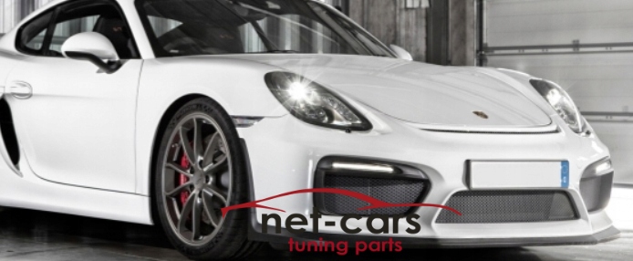 фото №8, Лампы led porsche 981 cayman boxster -16 wz gt4 gt