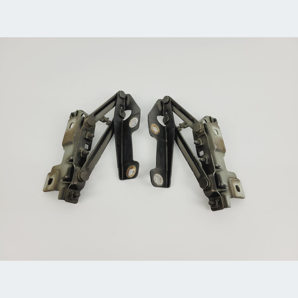 фото №1, Петлі капот opel insignia a z190 12841601