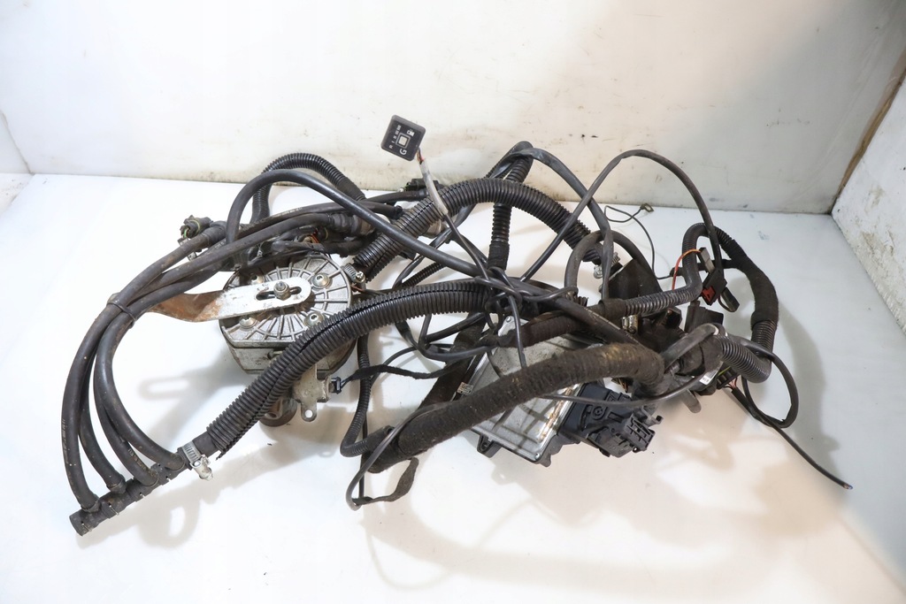 фото №1, Электропроводка lpg kia sportage ii 2.0 16v