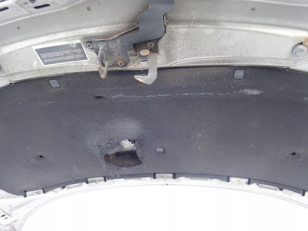 фото №16, Капот крышка двигателя skoda fabia ii 2 roomster 5j0 06-10 9202