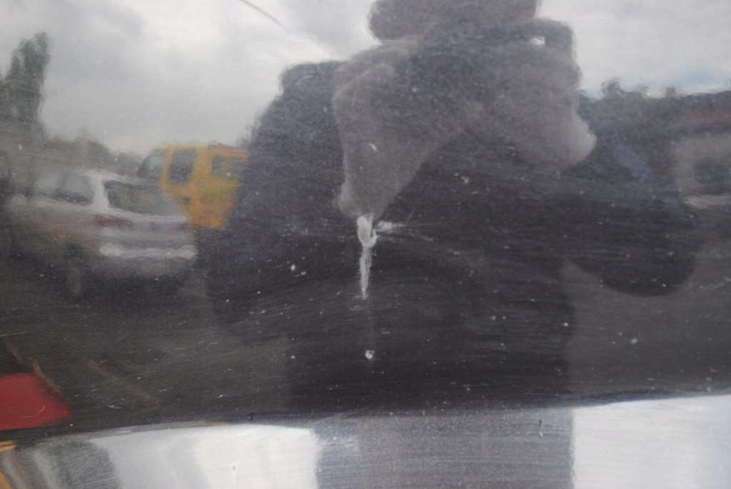 фото №6, Бампер задний задняя lc9z seat leon ii 1p przed lift