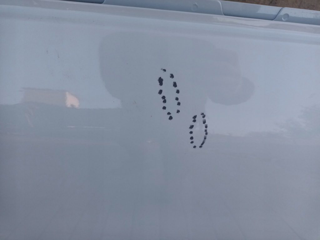 Дверь правое передние renault express ii перед правый 2021 - с Разборки