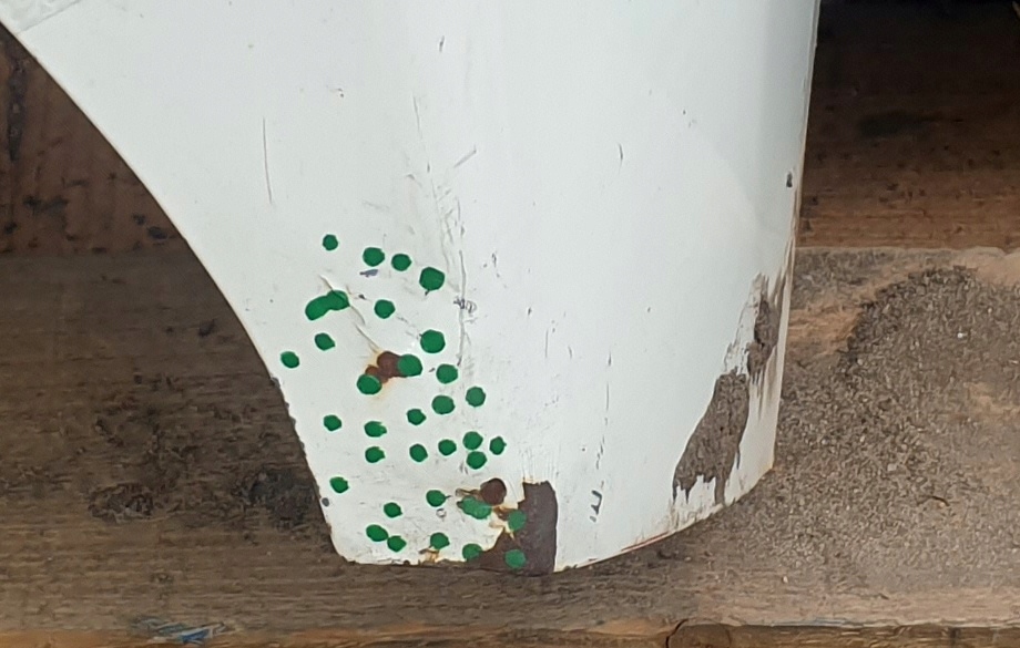 фото №7, Капот ford ecosport ii 12-17 белый giełda pń