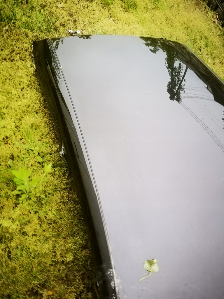 фото №2, Leon iii крыша 3d