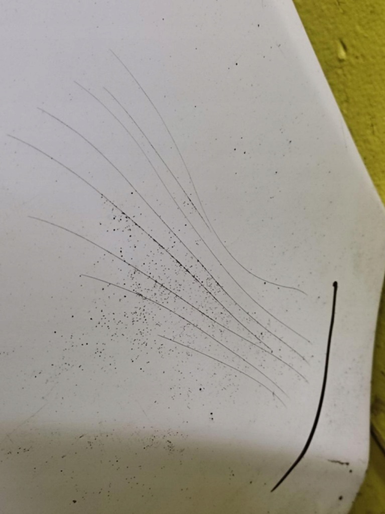 Ford fiesta mk7 бампер перед в Украине