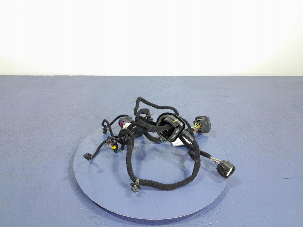 фото №1, Alfa romeo tonale жгут электропроводка дверь задняя задняя правая 00505696400