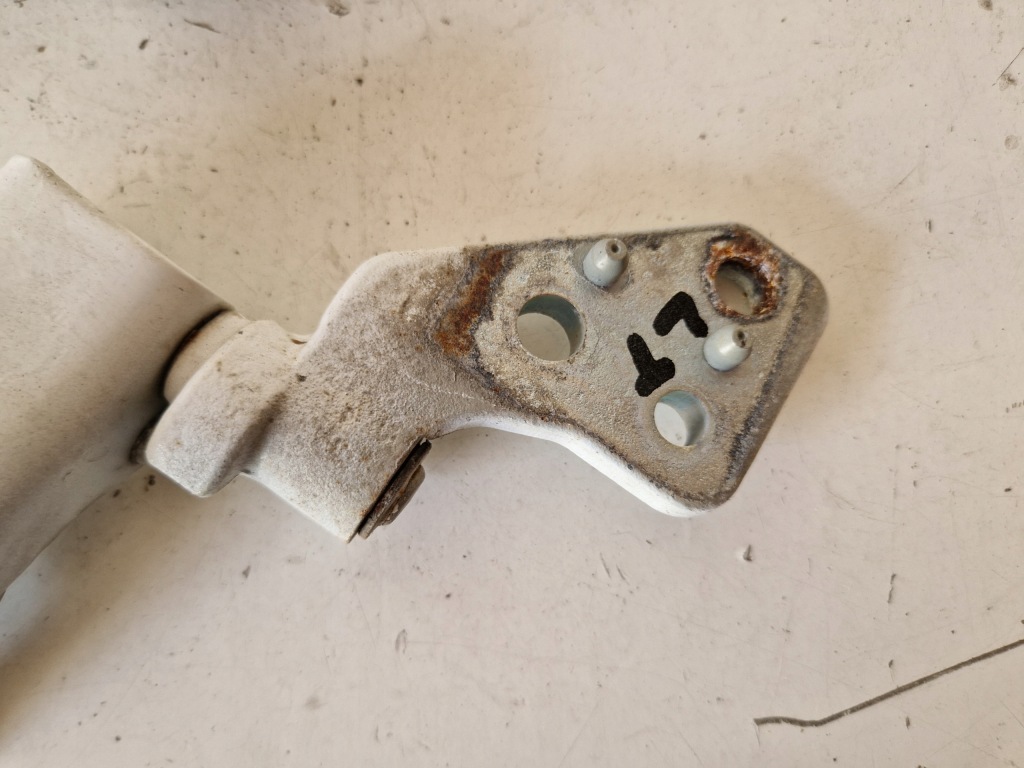 фото №7, Петлі двері лівих орних задня ewpa citroen berlingo ii 14r 1.6 b