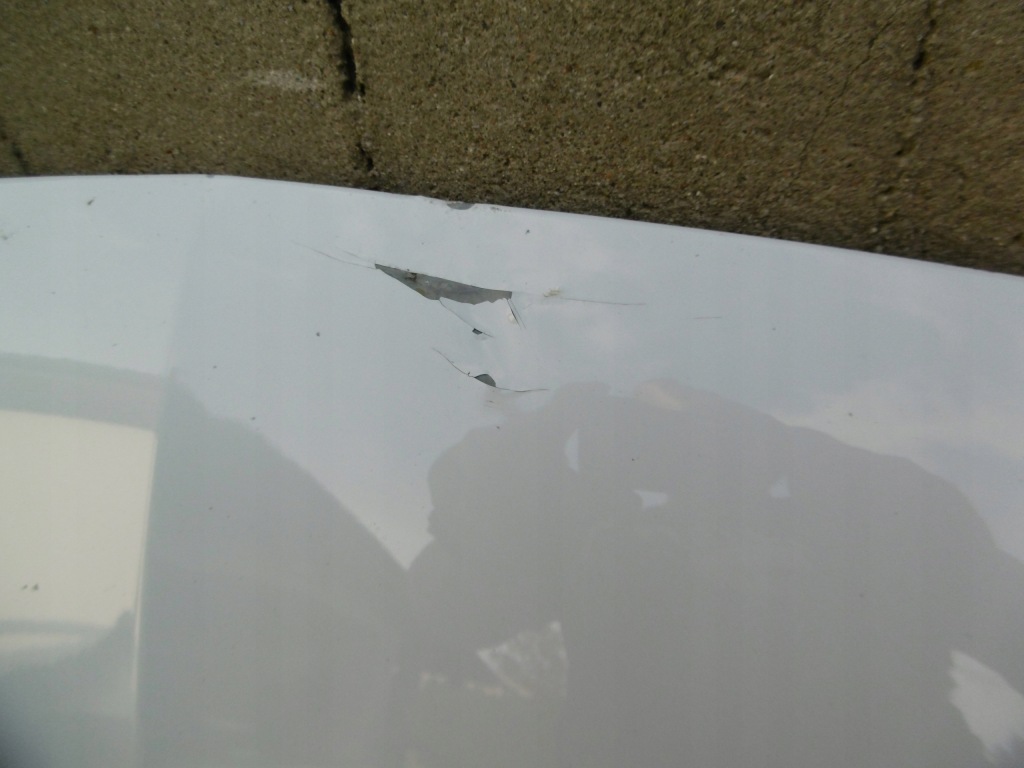 фото №4, Seat leon iii 5f0 lift - капот