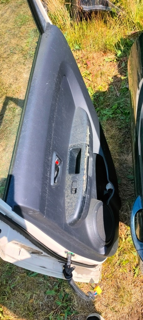 фото №10, Двері правий задня kia soul i колір a1