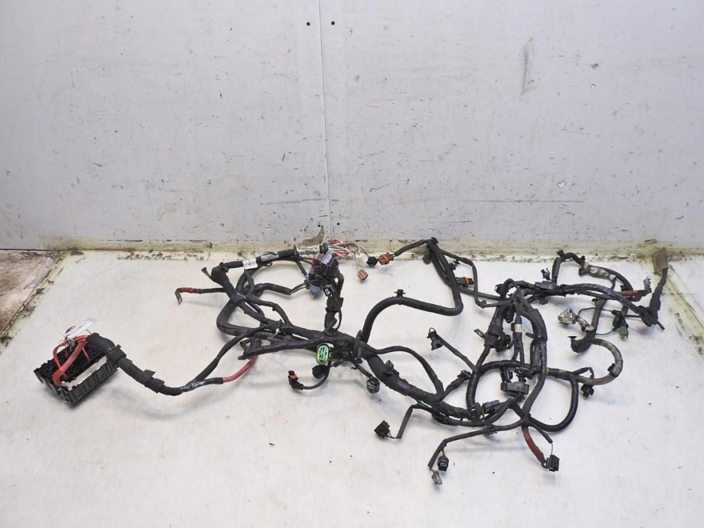 фото №12, Джгут електропроводка двигуна renault laguna iii 2.0 dci 240110092r