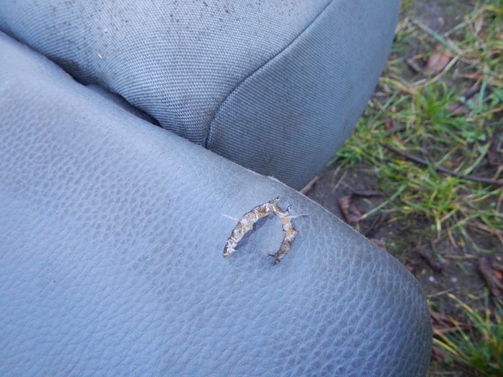 фото №7, Vw t4 multivan сиденье заднее сиденье caravelle transporter