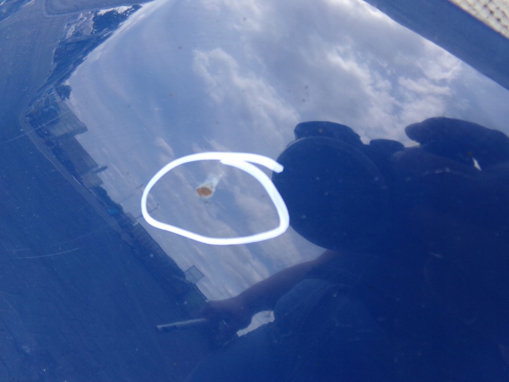 фото №6, Капот перед передня vw touran