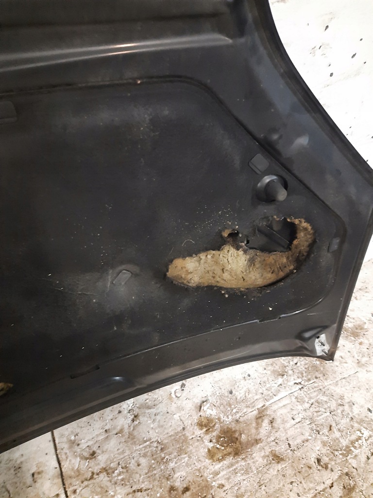 фото №8, Капот ford cmax