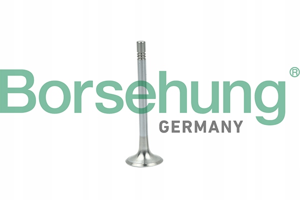 фото №1, Borsehung клапан wyd. vw 2.0tdi 16v