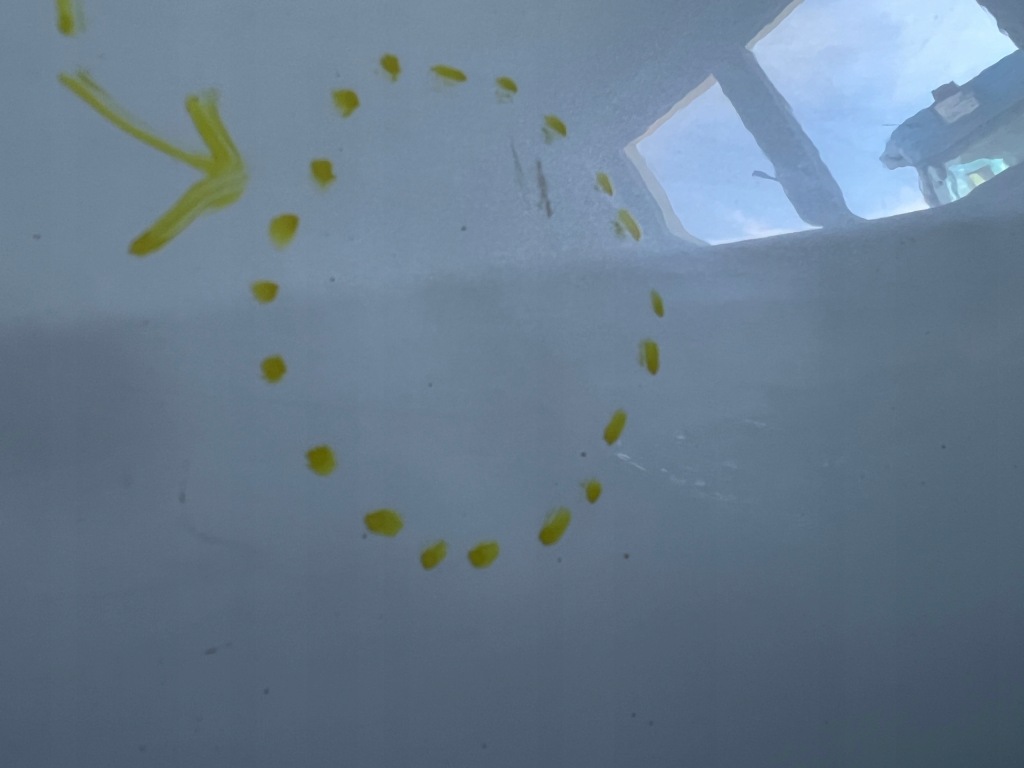 фото №8, Двері лівий задня задні kia sportage iv колір hw2 оригінал