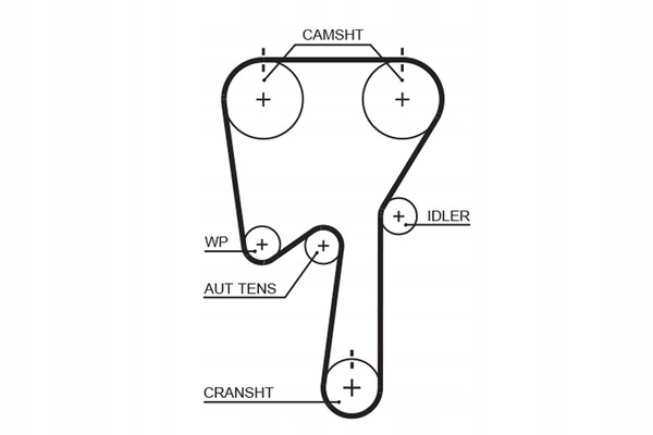фото №12, Ремінь розподільного валу gates 5509xs 7439440383