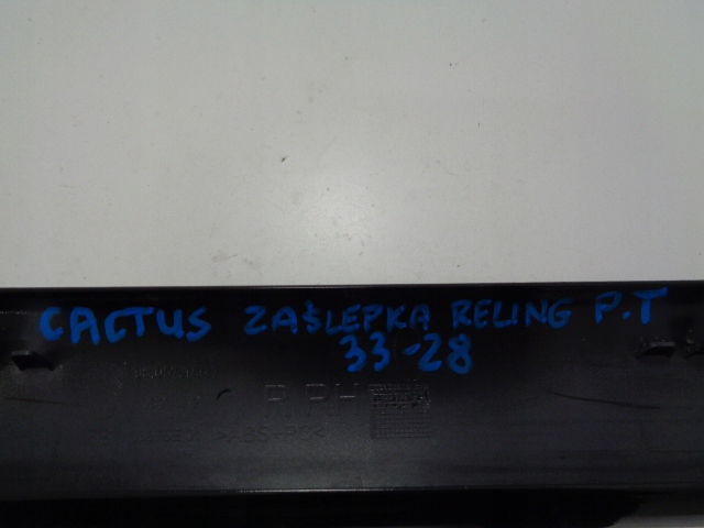 фото №5, C4 cactus заглушка рейлинг правая задняя