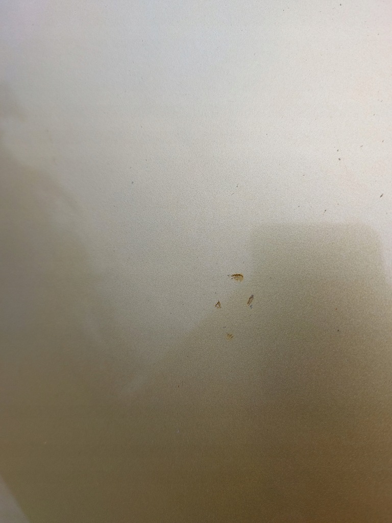 фото №5, Peugeot 307 капот перед передня