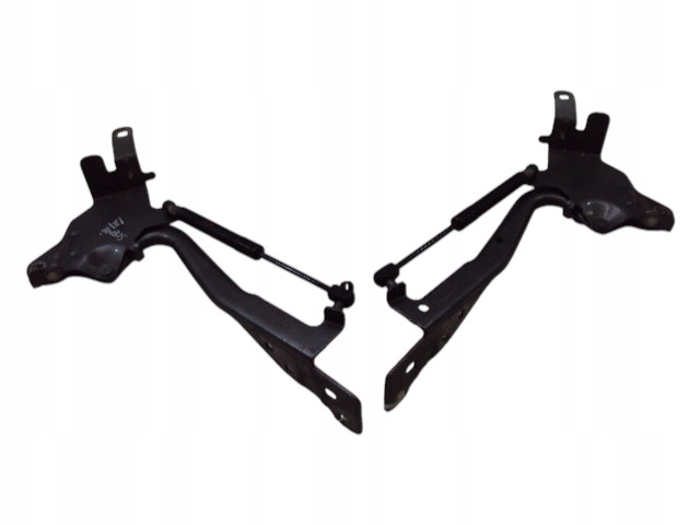 фото №1, Петли капот renault scenic iii