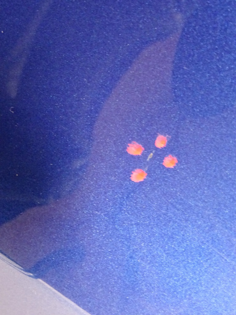 фото №5, Vw t-cross дверь правое перед передние lb5k 2020 rok