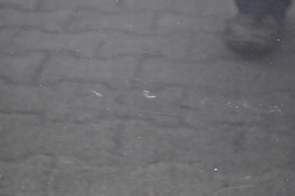 фото №5, Ford s-max дверь левый перед левая передние