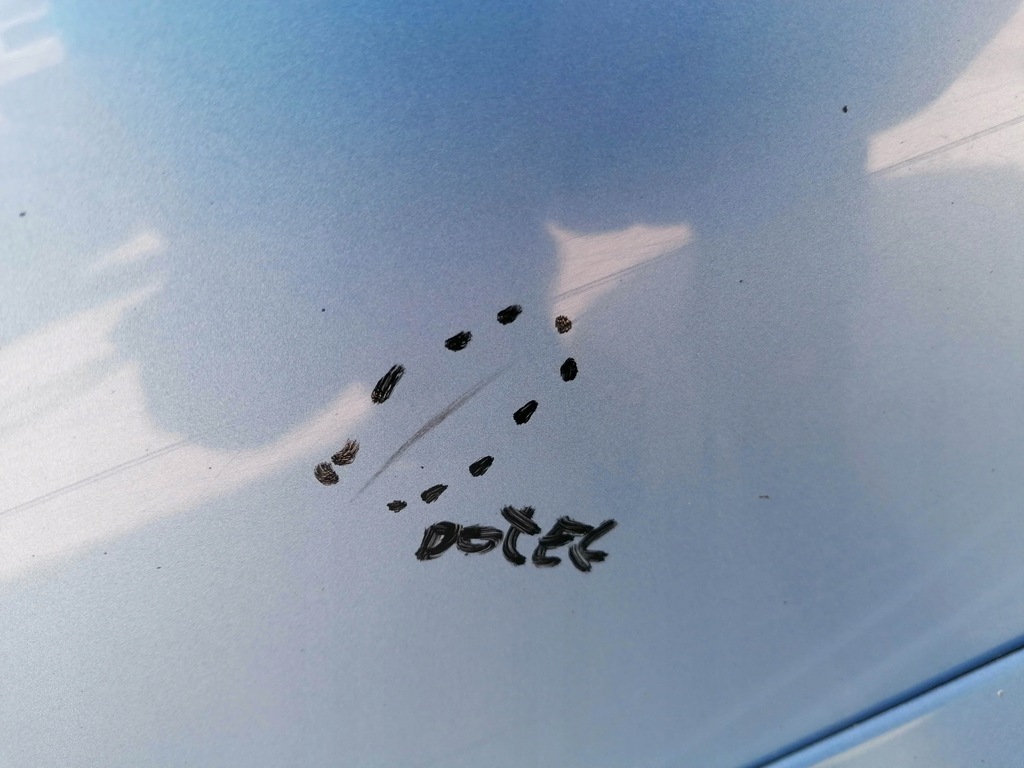 фото №6, Двері ліва перед renault grand scenic iii terpa