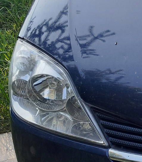 фото №1, Nissan primera p12 лампа правый перед