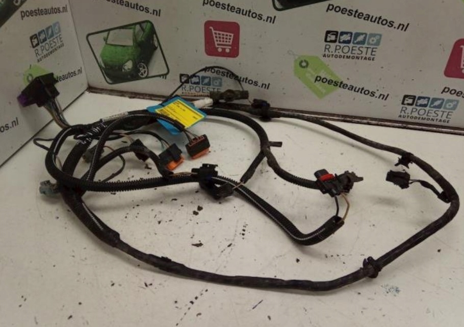 фото №1, Электропроводка двигателя renault megane i 1.8