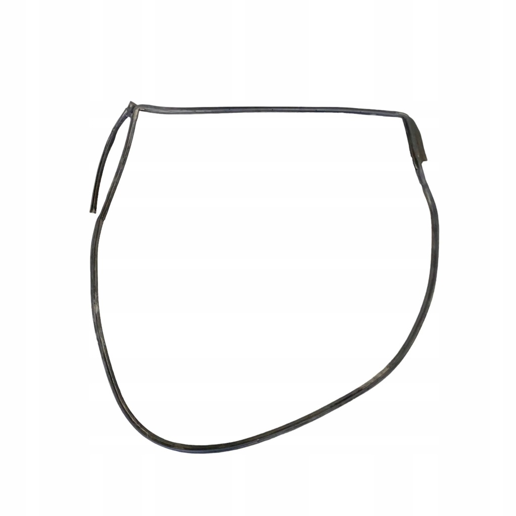 фото №1, Dodge charger 2022 правая сторона уплотнители