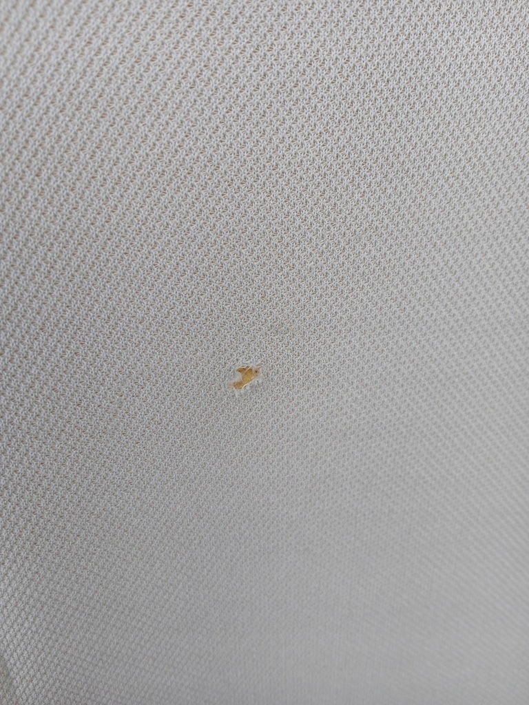 фото №10, Потолок citroen c4 picasso ii короткий