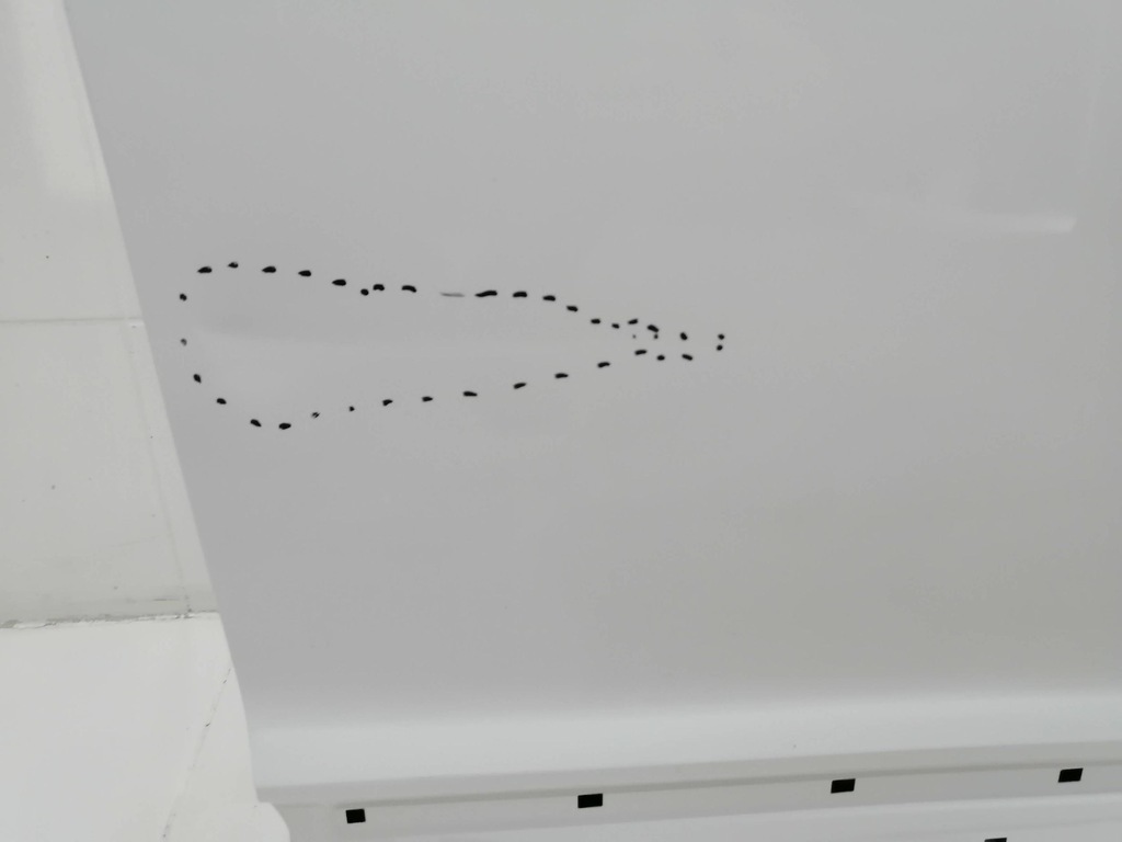 фото №6, Дверь правое передние перед hyundai kona i hal 8920