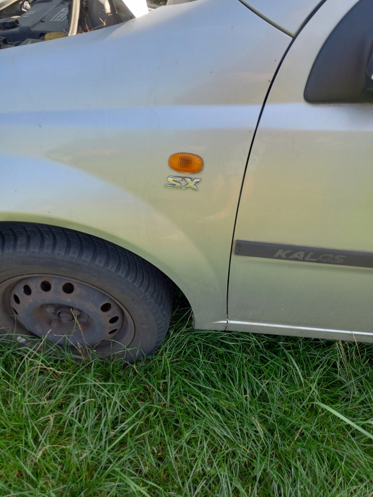 фото №14, Двері праве задні daewoo kalos 2004