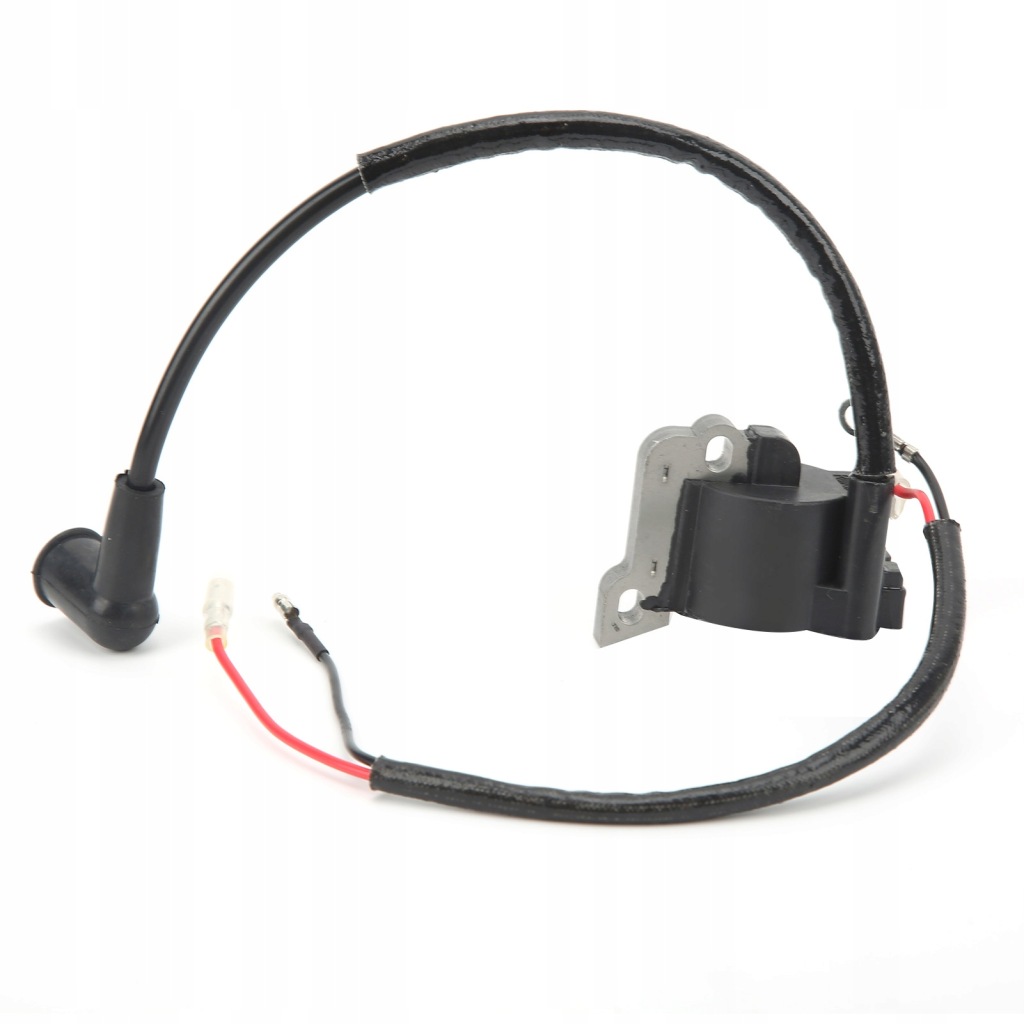 фото №1, Модуль модуля катушки зажигания 42384001301