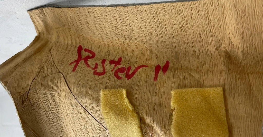 фото №11, Потолок потолок dacia duster ii 2 739101253r org