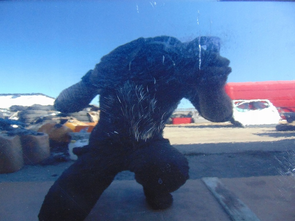 фото №10, Двері правий перед vw polo v 6r 5d lc9x