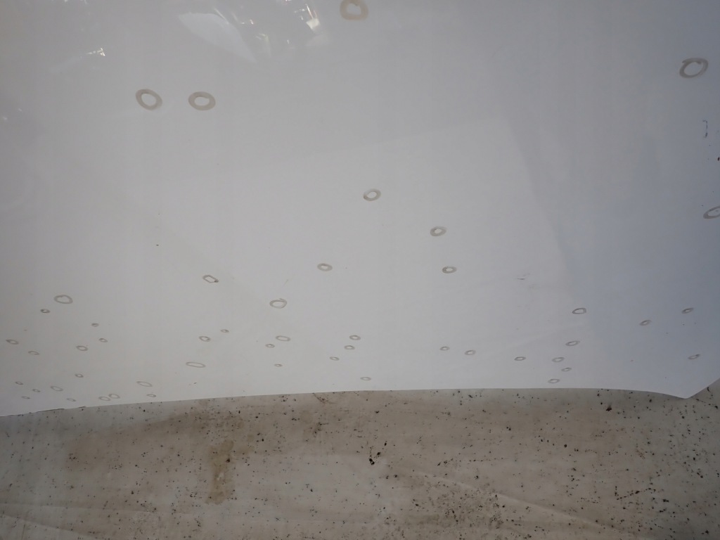 Renault kangoo iv 4 капот крышка двигателя малый grad в Украине