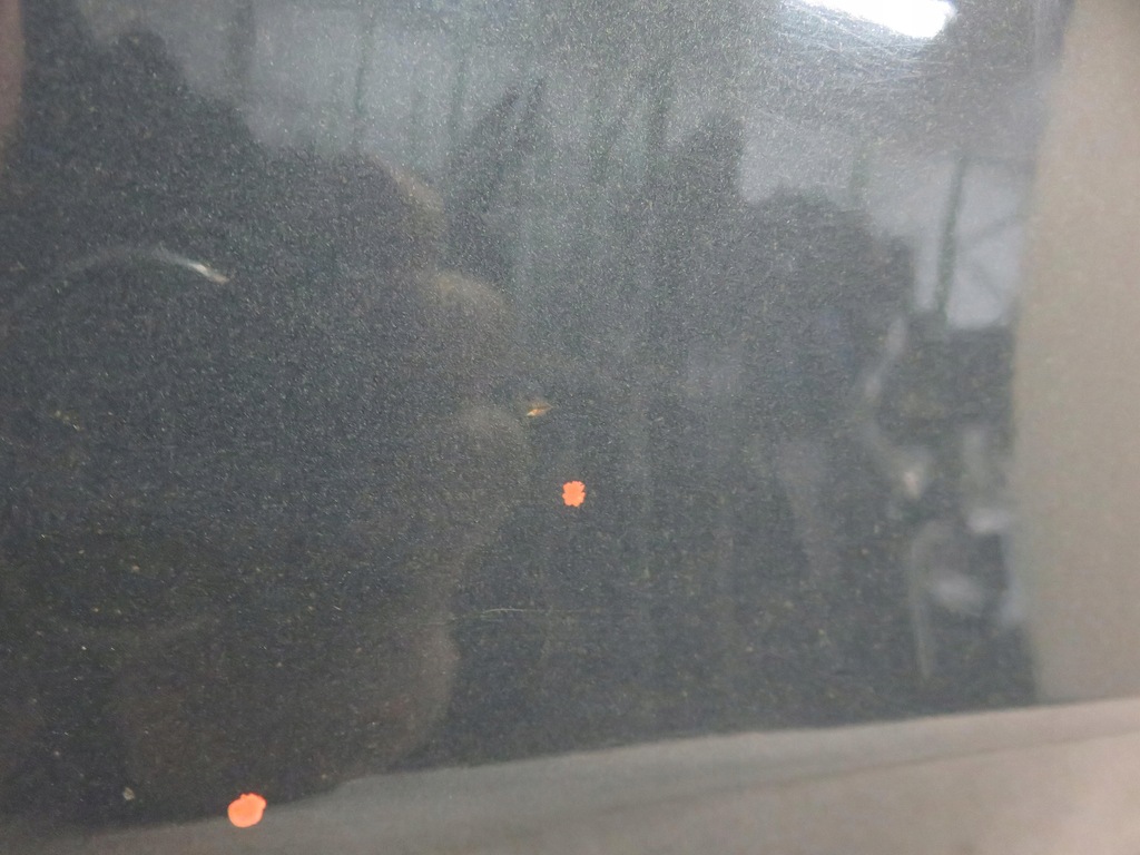 фото №9, Двері правий задня audi a4 b8 sedan lz7h